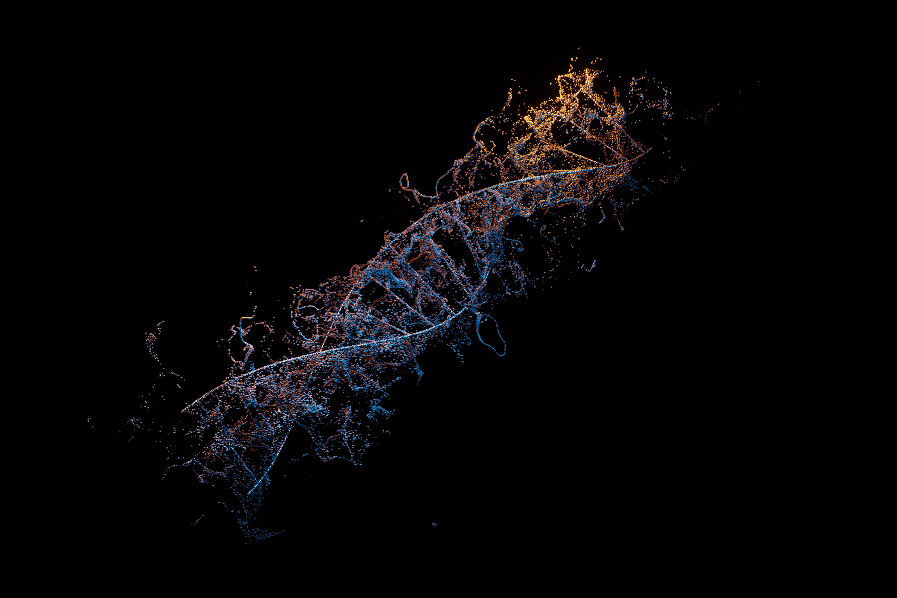 Scientific Animation